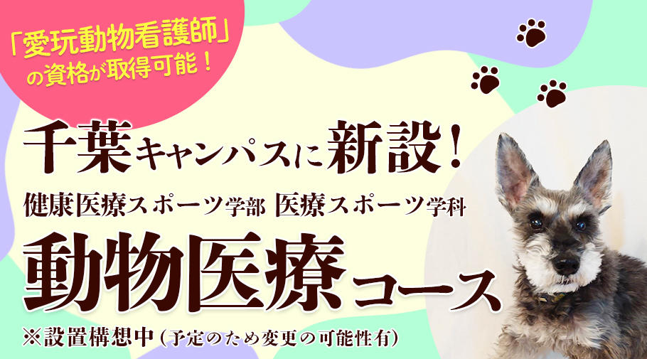 帝京平成大学が2022年度から千葉キャンパスに動物医療コースを設置 -- 新しい国家資格「愛玩動物看護師」に対応したカリキュラムをスタート
