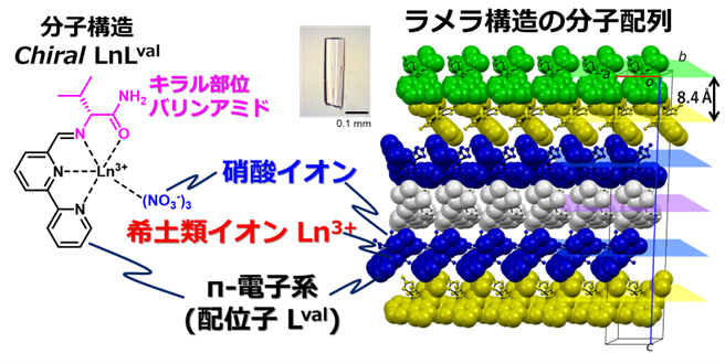 【青山学院大学】叩く・擦る程度の刺激で破砕し発光する希土類錯体のソフトクリスタルの開発とそのエネルギー変換機構の解明に成功。(長谷川美貴教授(理工学部 化学・生命科学科)らの研究グループ)