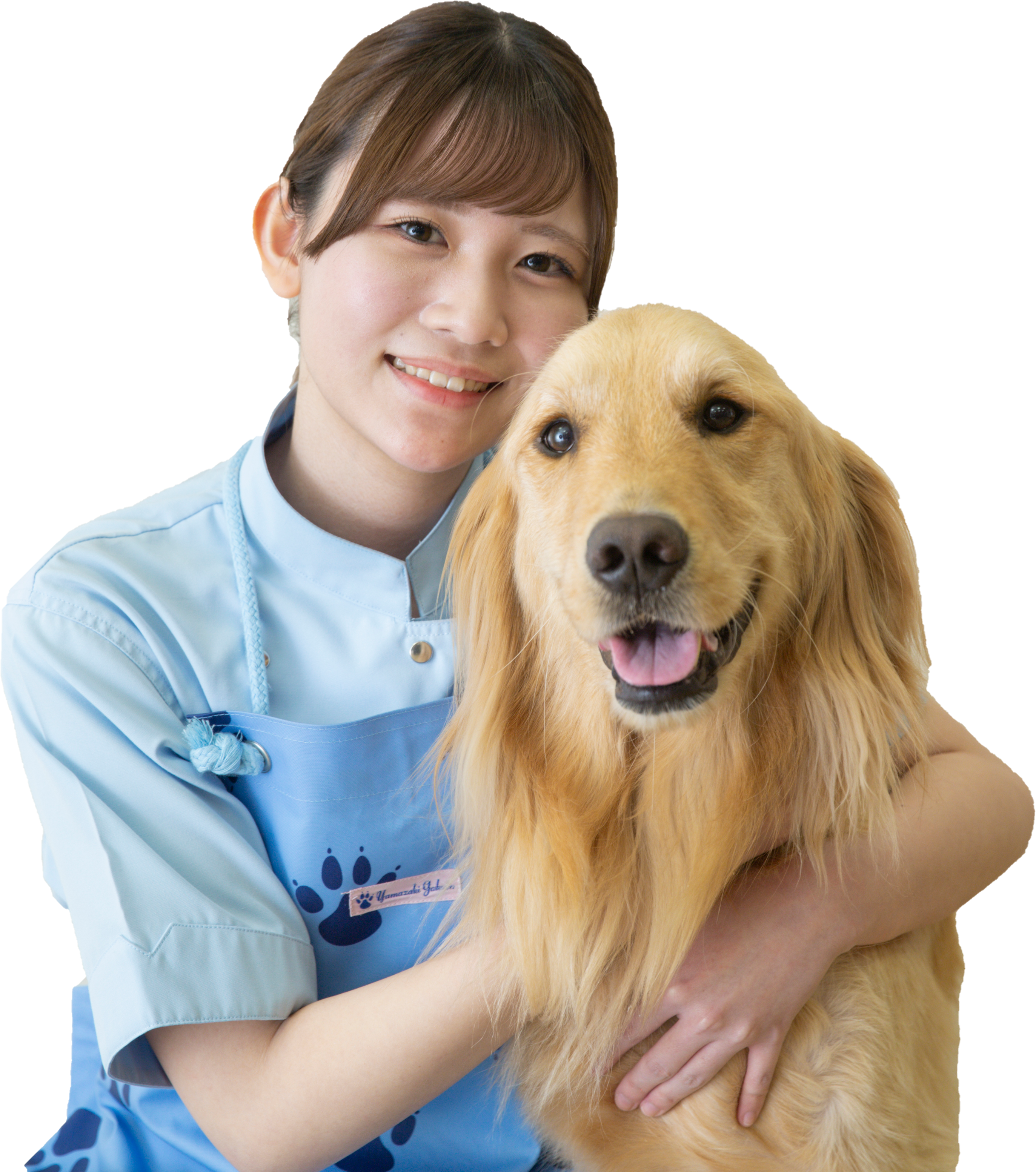 ヤマザキ動物看護専門職短期大学が渋谷区と協働で「ペットと新型コロナウイルス感染症について」のガイドラインを作成しました
