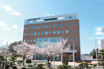 東日本国際大学