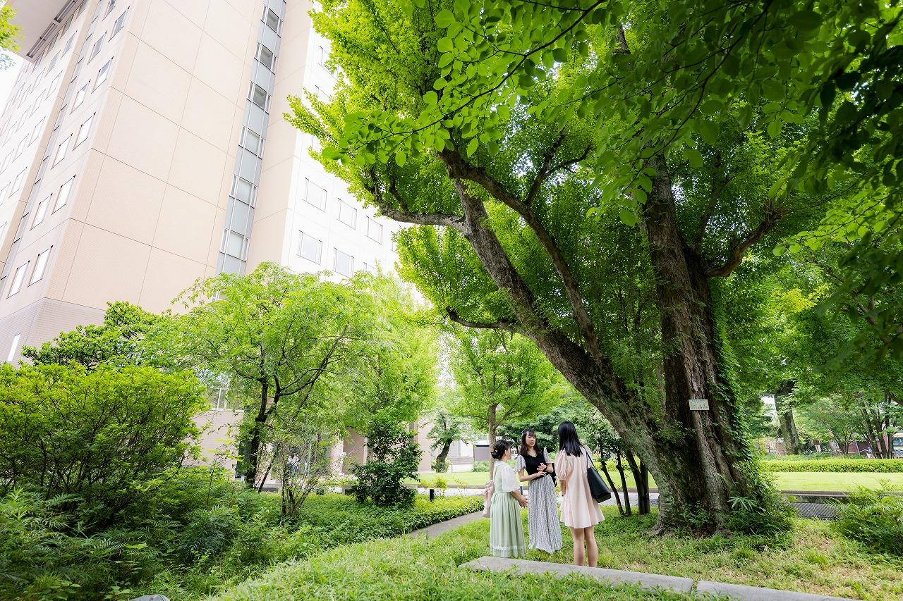 日本女子大学が地方入学者へ4年間の学費等を給付する給付型奨学金「桜楓樹給付奨学金」を開始 — 2025年度より総合型選抜受験者を対象に選考 —