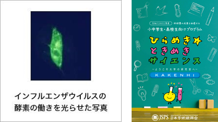 体の中で活躍する目に見えない「酵素」を見よう！　小学５・６年生、中学１年生対象のサイエンス講座を開講 — 広島国際大学