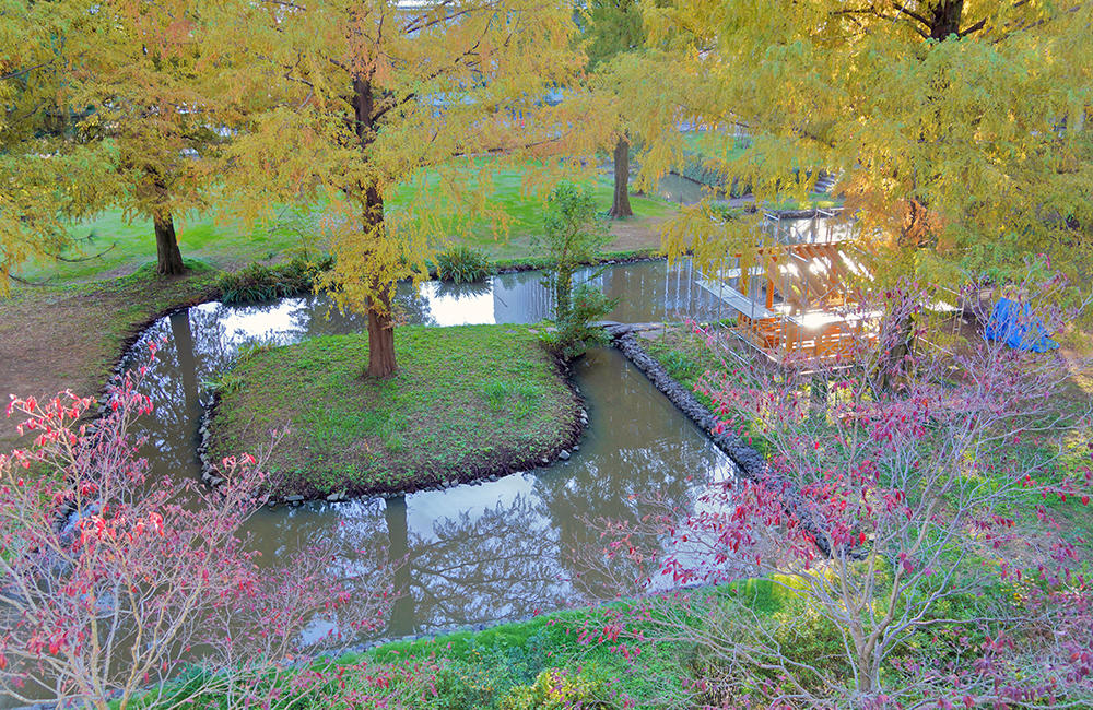 日本工業大学埼玉キャンパスで、池の水を全部抜く！ — 陸域生態系の保全をめざす「かいぼり」を実施 —