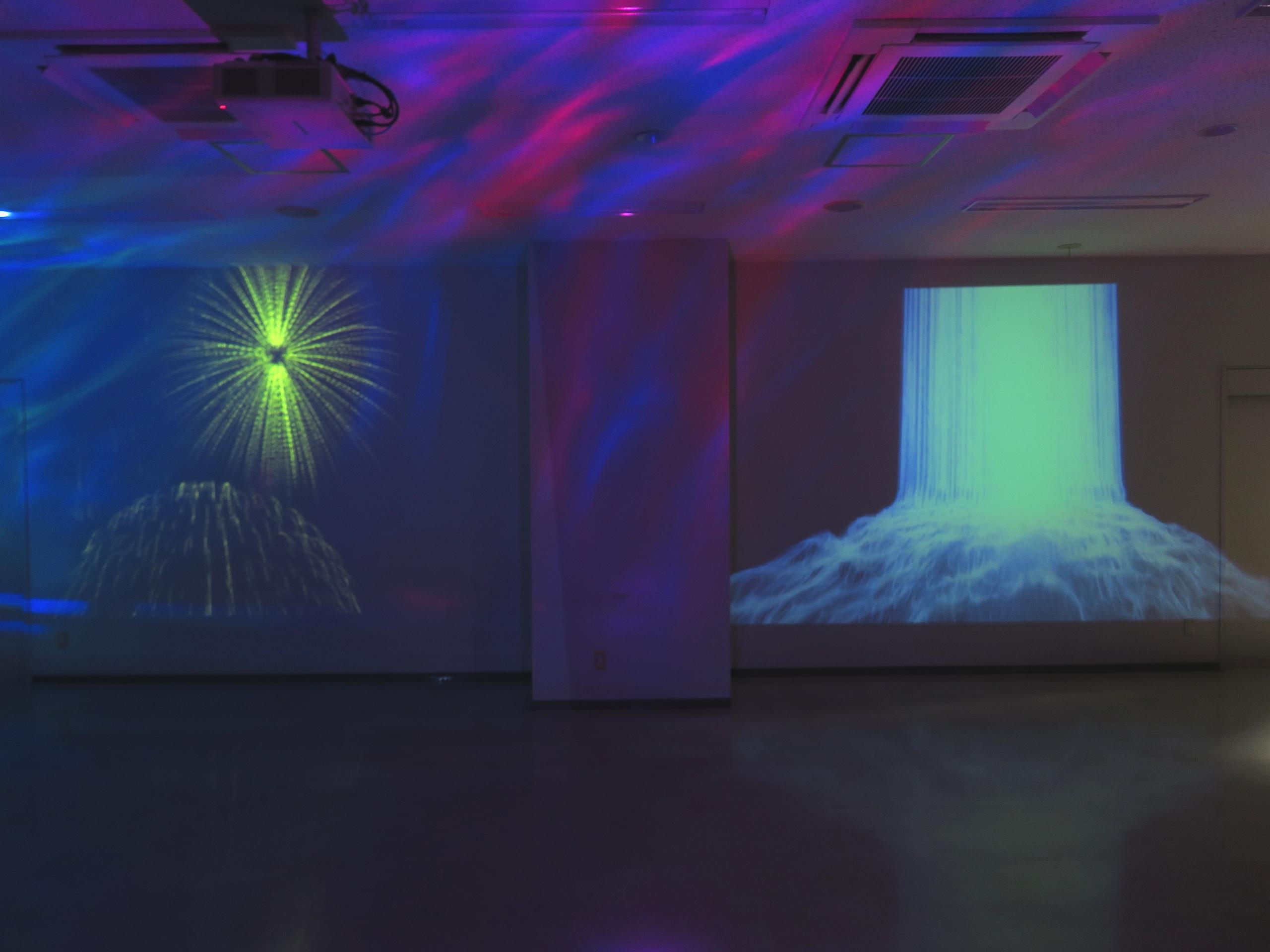 共栄大学国際経営学部伊藤ゼミが7月31日に春日部市役所ひだまりホールで「音と光の不思議なアート体験」を開催 ― 学生が創る体験型デジタルアート空間