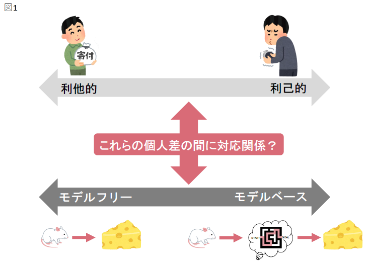 【玉川大学脳科学研究所 研究成果】利己的な人は利他的な人より熟慮する– 2段選択状態遷移課題を用いた研究成果