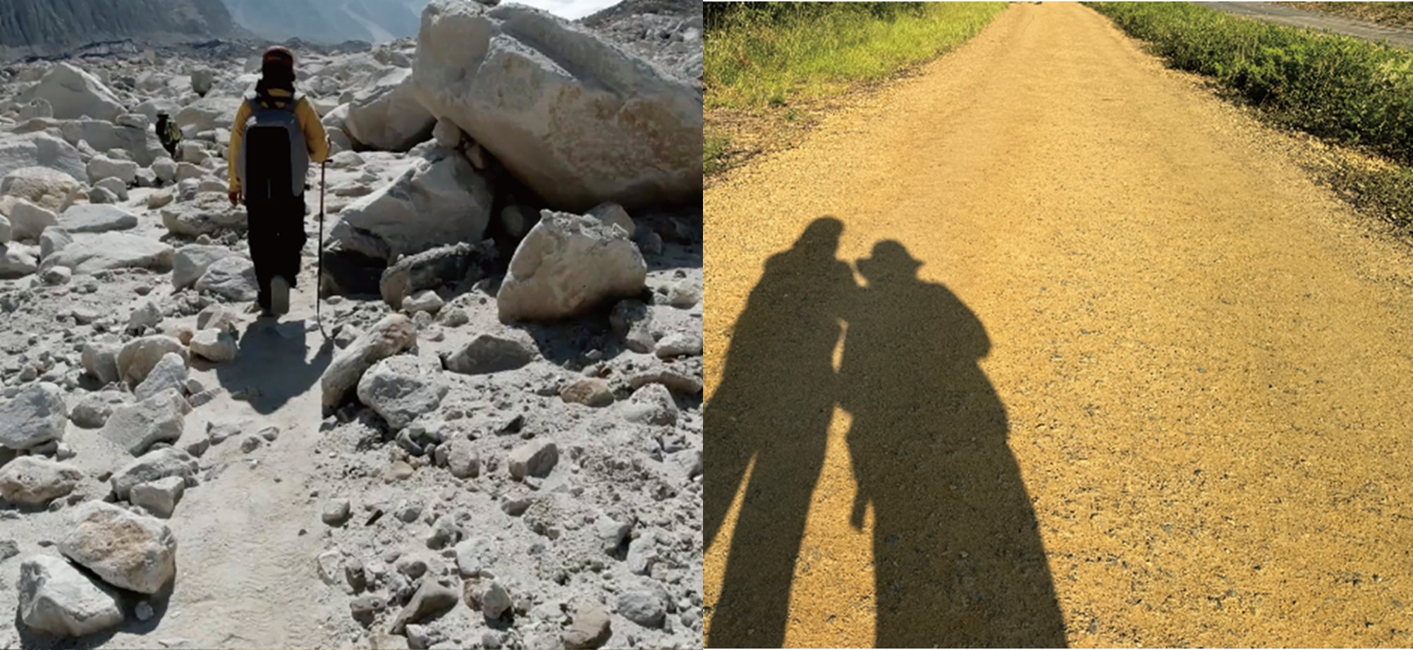 成蹊アートプロジェクト2025「はじまりのたび、おわりのたび ―友政麻理子作品展―」開催のお知らせ