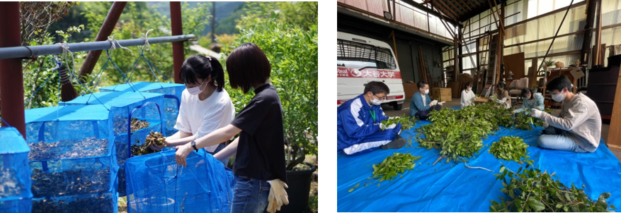 大谷大学が、京都市の支援事業”学まちコラボ事業”に認定！ — 中川学区の暮らし再発見　お茶によるビールプロジェクト
