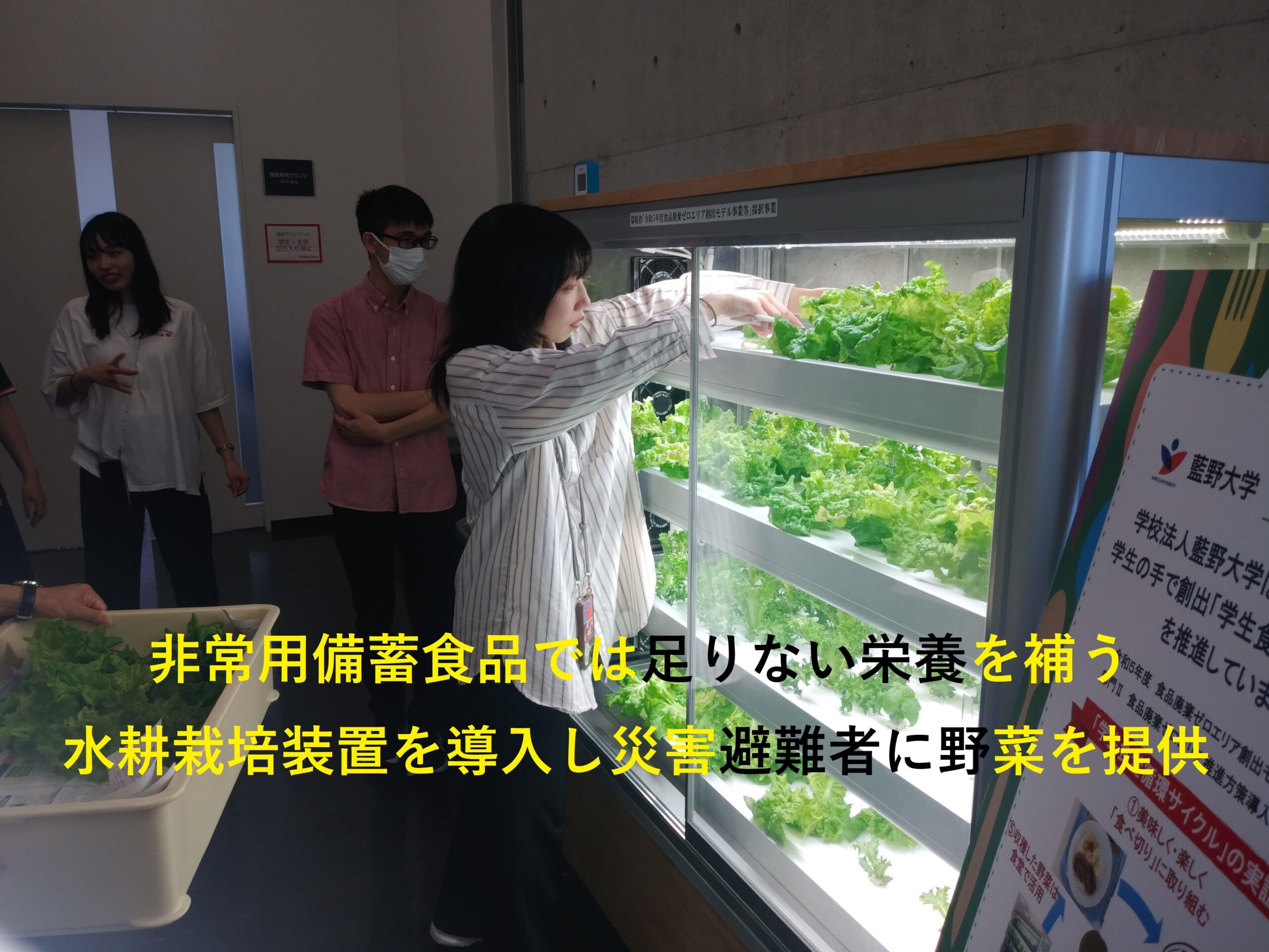 学校法人藍野大学公式クラウドファンディング－「校舎内に水耕栽培装置を導入し、災害避難者の栄養を補いたい。」にご支援を－