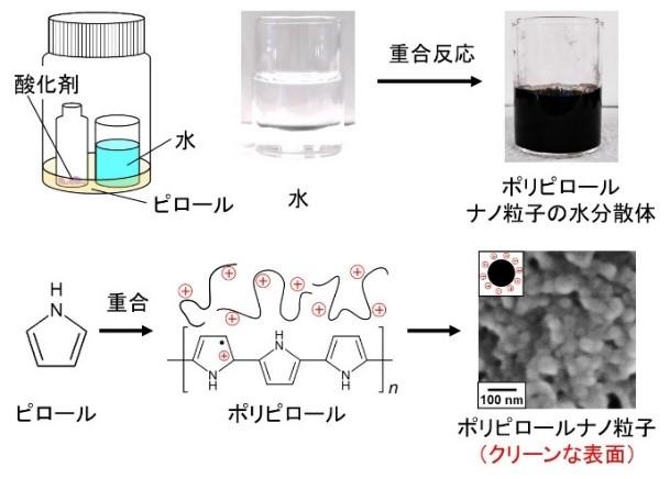 導電性高分子ナノ粒子 環境低負荷の合成法開発　媒体に水を使い、表面もクリーンな仕上がり–大阪工業大学