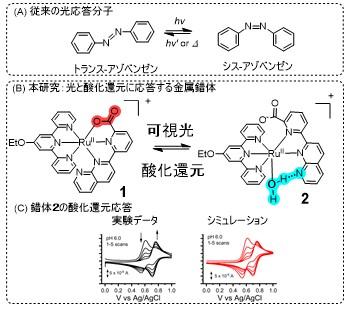 光と酸化還元に応答する分子明らかに　金属錯体の触媒活性を自在に制御 — 大阪工業大学