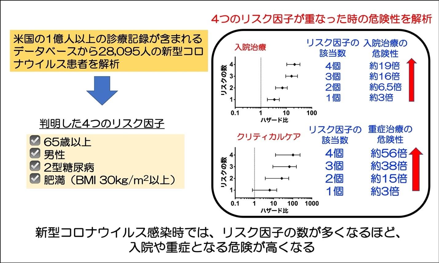糖尿病や肥満など危険因子が多いほど新型コロナウイルスで重症化しやすいことが明らかに — 北里大学
