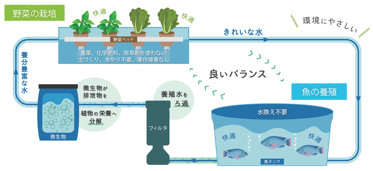 北陸地域の食文化に沿った魚・野菜を同時に生産する北陸モデルの共同研究を開始。 — 金沢工業大学