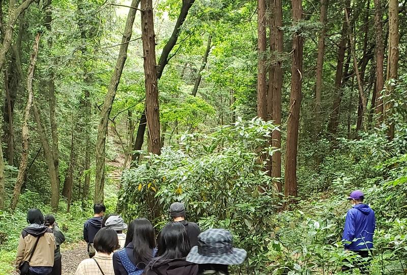 聖心女子大学の学生が北欧の生活をテーマにしたレジャー施設「メッツァビレッジ」のパンフレットを英訳 — 英語力を地域連携に活かす取り組み、10月21日にはイベントに協力