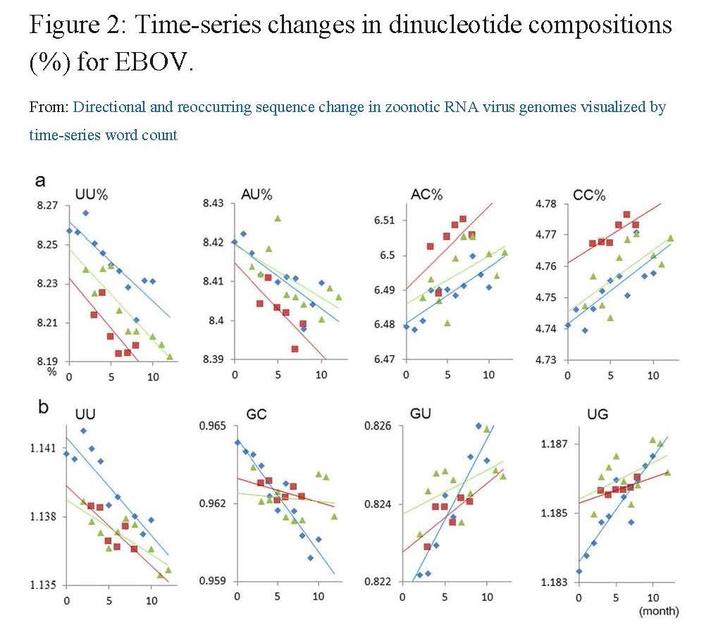 人類を脅かすエボラウイルス等RNAウイルスの弱点をコンピュータで探索 — 長浜バイオ大学