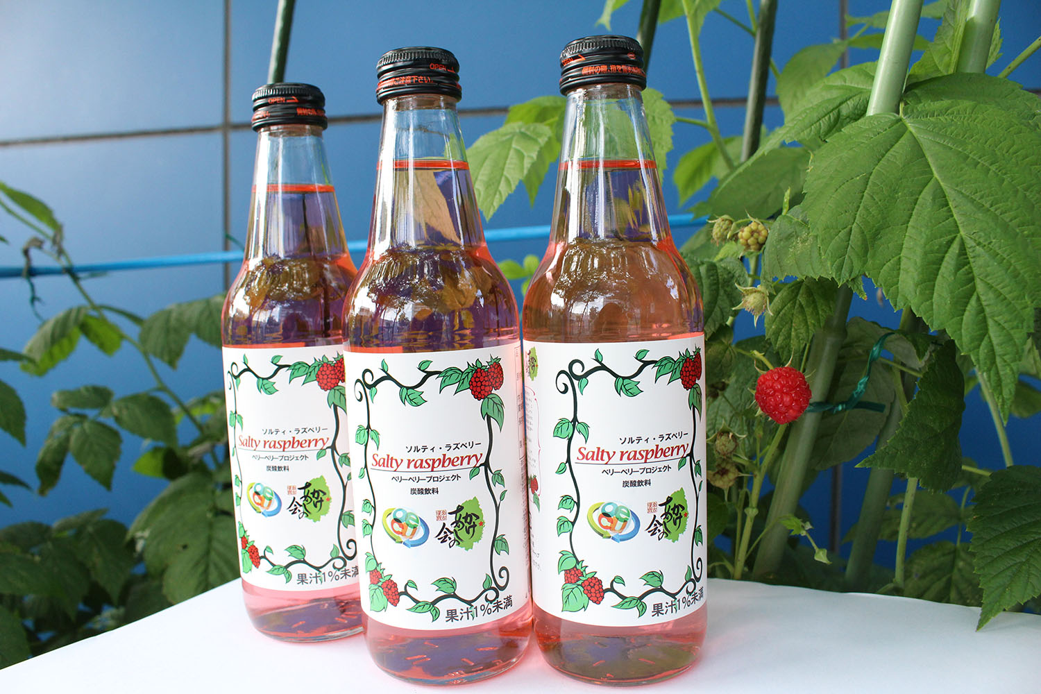 大阪電気通信大学工学部環境科学科齊藤研究室の「ラズベリープロジェクト」が「アグリビジネス創出フェア2016」に出展