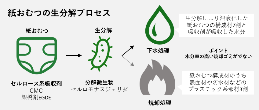 芝浦工業大学 紙おむつのカーボンニュートラルな廃棄プロセスを開発 — 吸収剤を天然素材に置換、分解微生物による生分解を実現 —