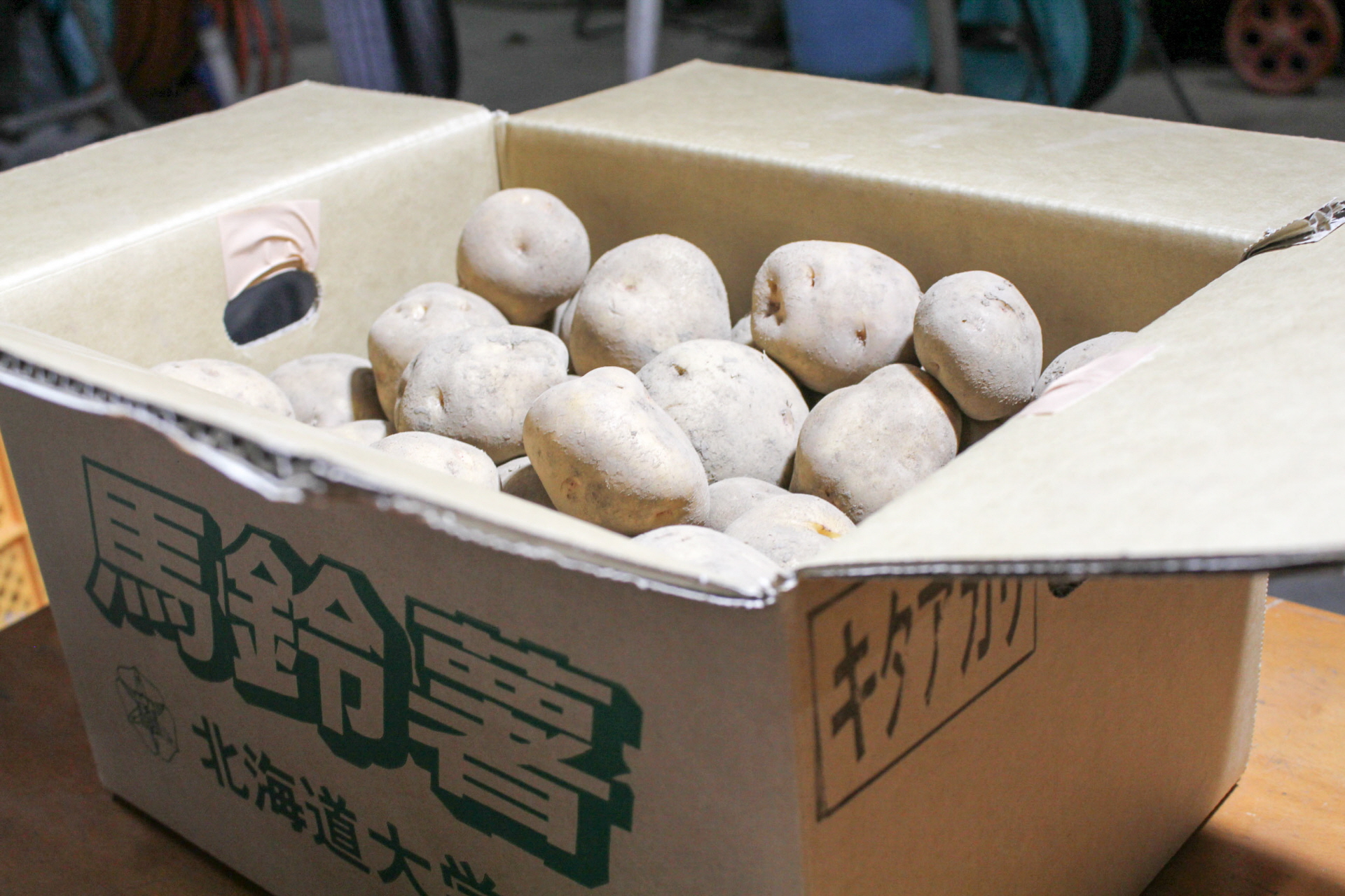 寄附者へのお礼に北大産「じゃがいも」を発送 — 北海道大学