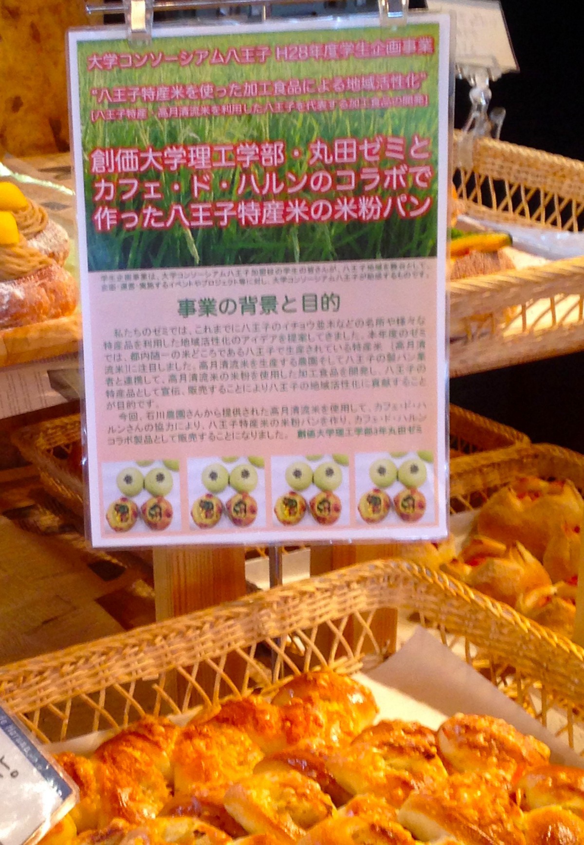 創価大学の丸田晋策ゼミが「八王子特産米を使用した米粉パン」を地元製パン会社と共同開発 — 地産地消による地域活性化を促進