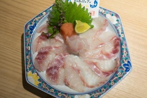 近畿大学水産研究所　高級魚「クエ」と「タマカイ」の良さを併せ持つハイブリッド　「クエタマ」を直営店にて数量限定で初提供