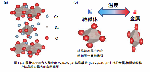 温めると縮む新材料を発見 — 精密機器や電子デバイスなど広汎な応用に期待 — 名古屋大学