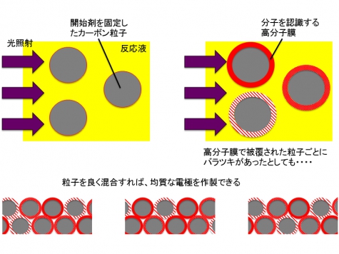 芝浦工業大学 — 血液中でも高い感度と再現性を示すヘパリンセンサを開発～心臓切開手術などでリアルタイムに薬剤濃度を監視～