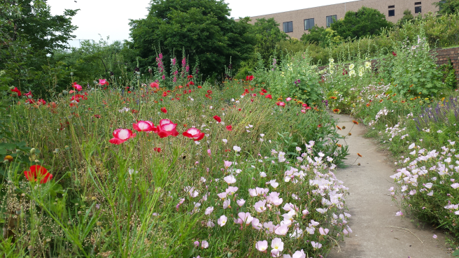 シェイクスピアの戯曲を連想させる学内庭園を一般市民にも開放 — 神田外語大学イングリッシュガーデン