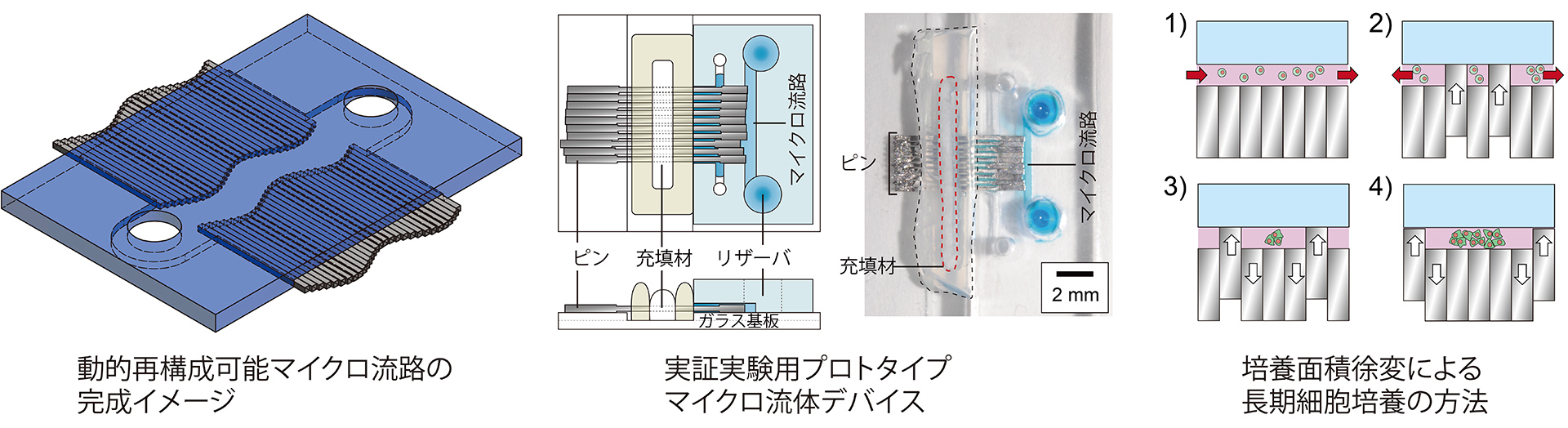 芝浦工業大学 — 1デバイスで細胞の培養や分析が自由にできる可動式マイクロ流体デバイスを開発 ～汎用性のある器具で、細胞培養をシンプルに