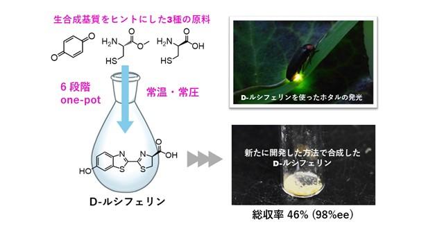 【名古屋大学】”ホタルの光”を簡便に合成する方法を開発！　～病原菌の検出などに使う発光物質ルシフェリンを環境にやさしく製造～