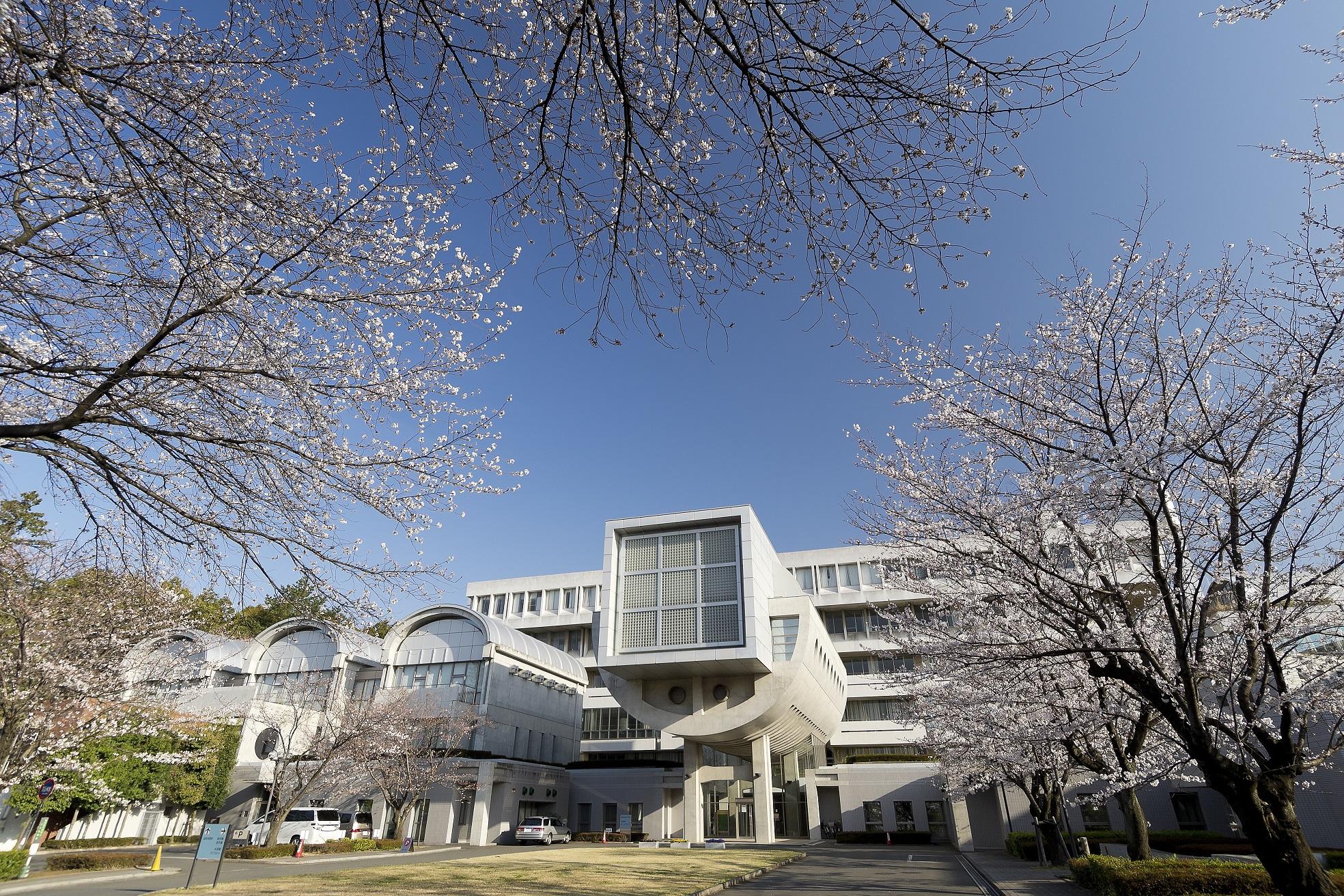 桐蔭学園が探究の授業「みらとび」の取り組みを紹介するWebサイトを開設 — オンライン学習・分散登校下でも「探究」を継続