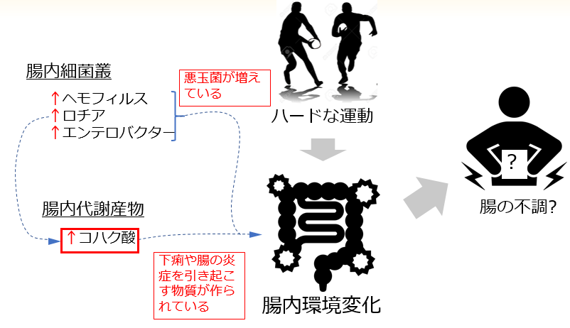 学生アスリートの深刻な腸内環境が判明　コハク酸値が大腸炎患者レベル　食物繊維摂取で劇的な改善も期待 — 摂南大学