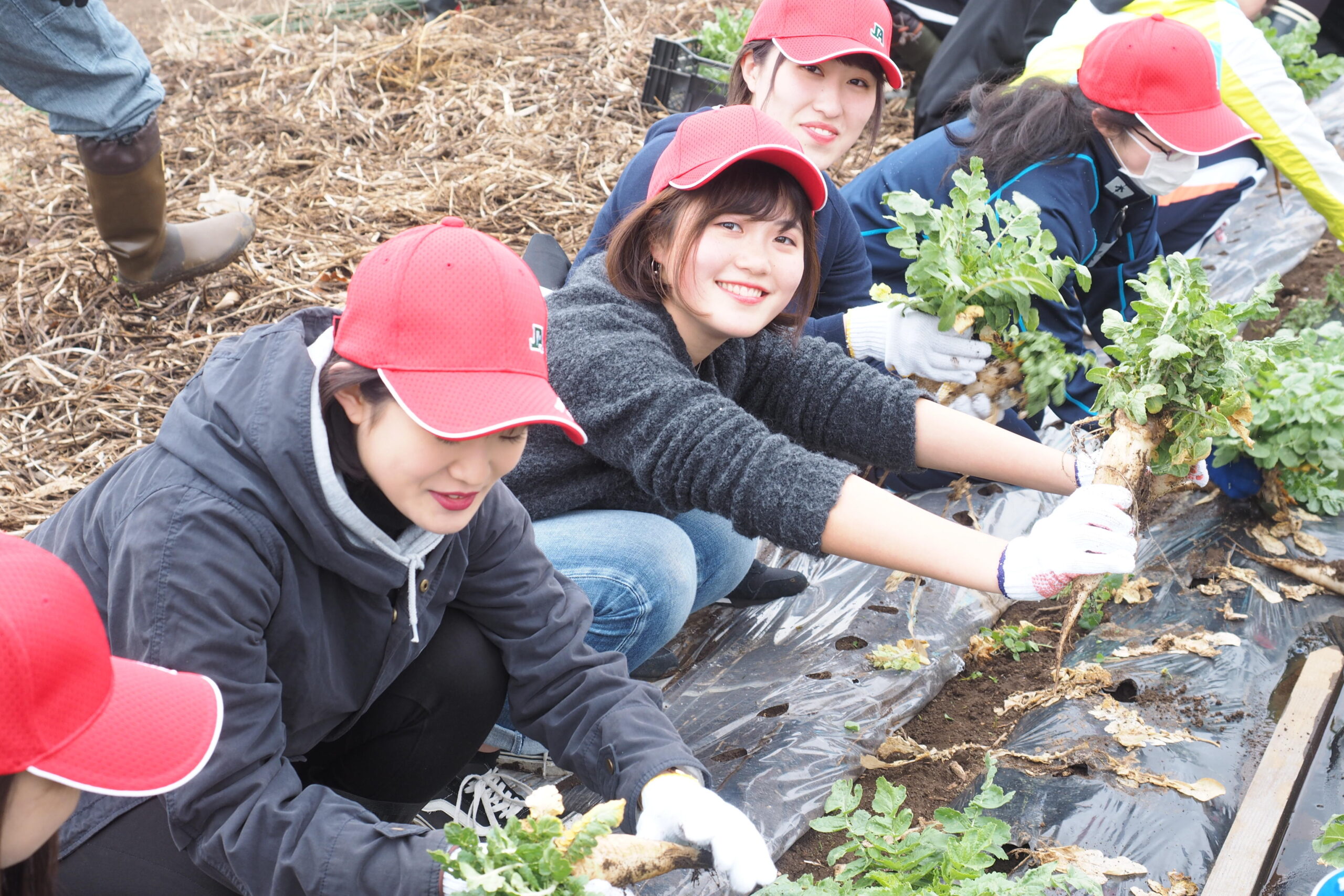 成蹊大学経済学部 経済地理ゼミナールの2018年度課題解決型授業がキックオフ　– JA土浦や株式会社アトレ協力の下、耕作放棄地を再生した体験農園での農作業を体験