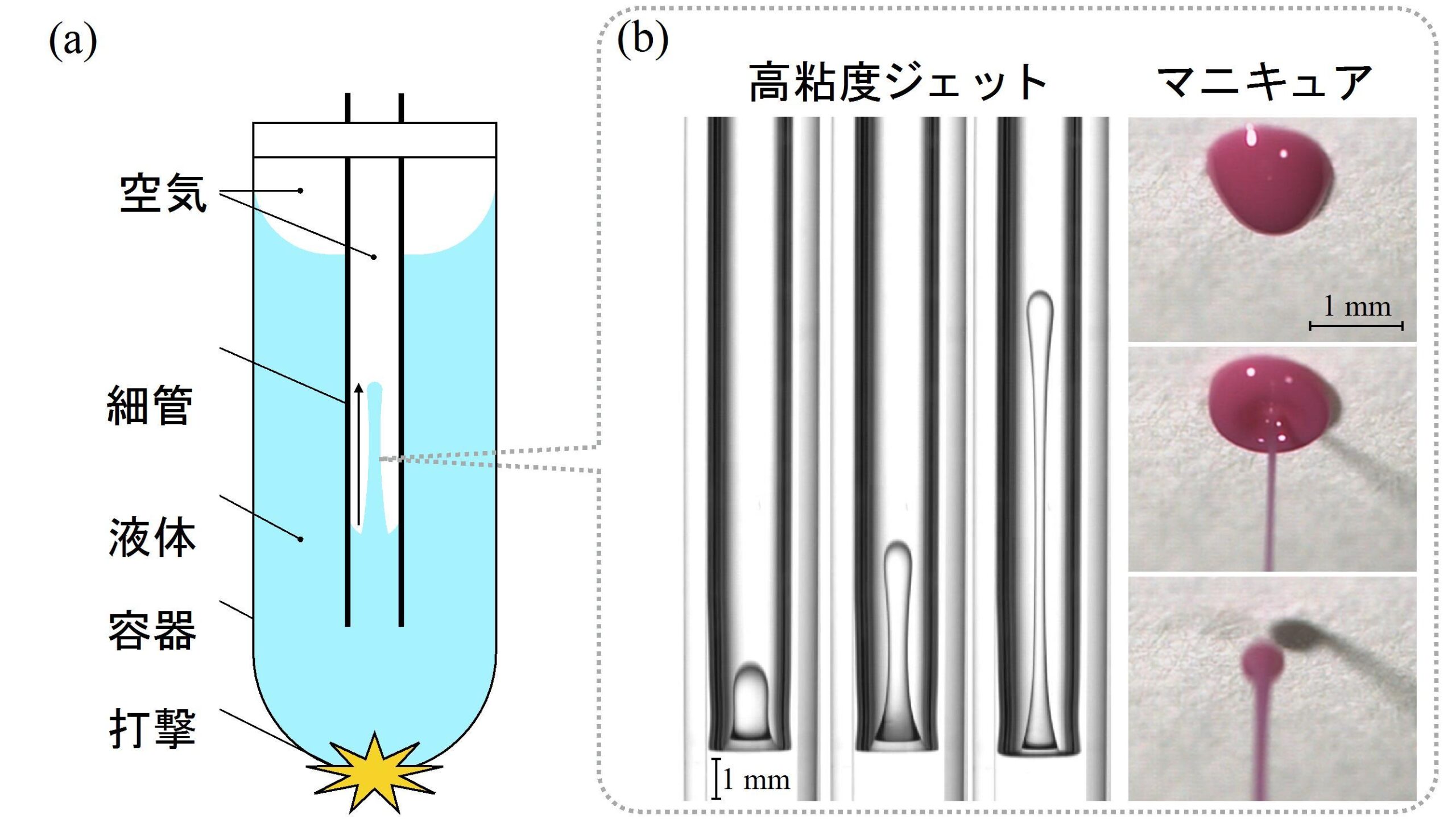 東京農工大学が蜂蜜のような高粘度液体を射出可能な装置を開発 — 3Dプリンタなどの次世代インクジェット技術や医療分野への応用に期待