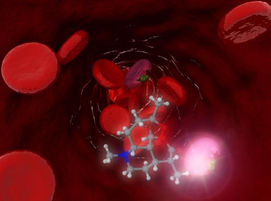 元素を変えて誘導体創製のゲームチェンジ！？～抗マラリア治療薬候補のモジュラー式迅速合成に成功～ — 東京農工大学・北里大学・北海道大学