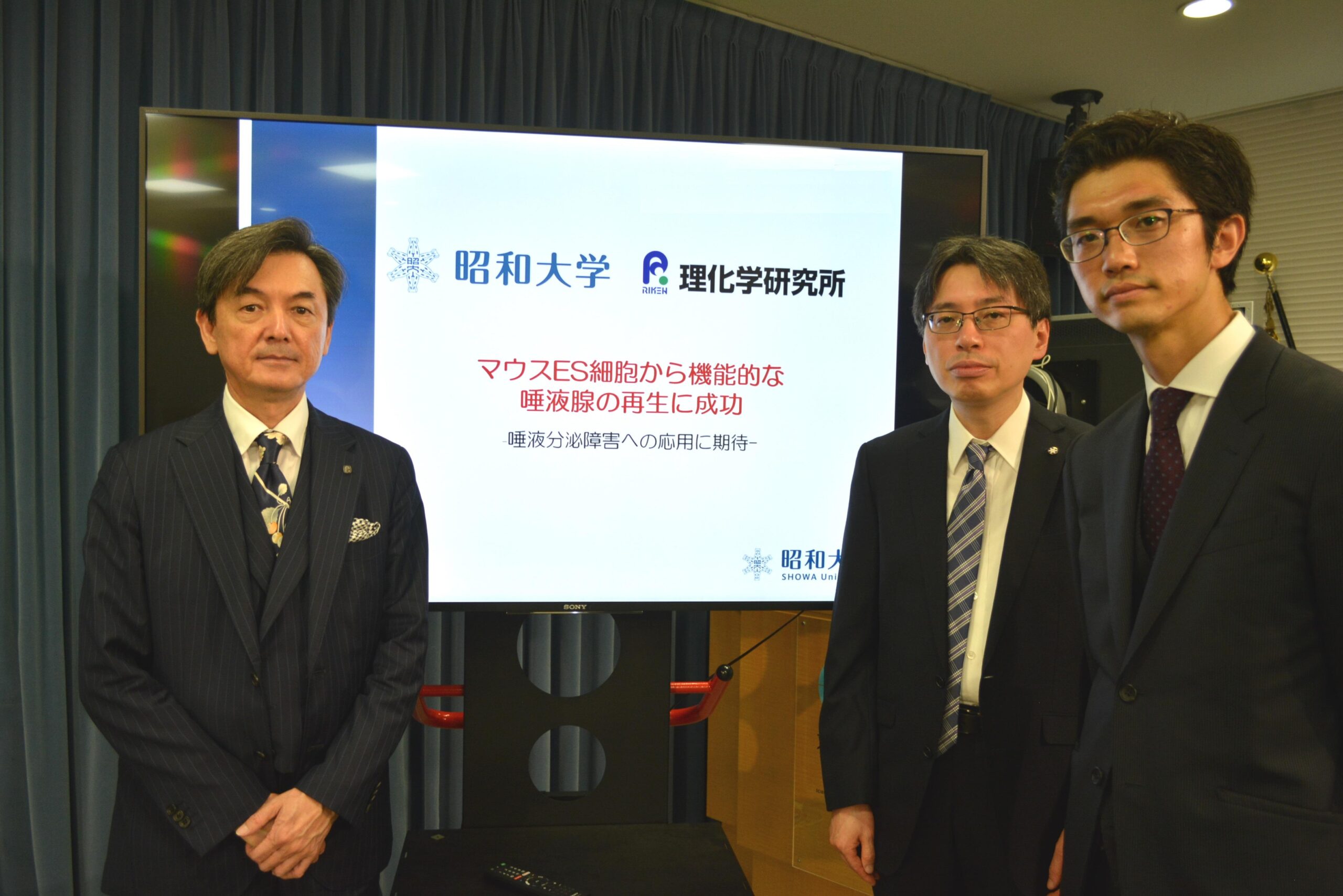 マウスES細胞から機能的な唾液腺器官の再生に成功　– 唾液分泌障害への応用に期待 —