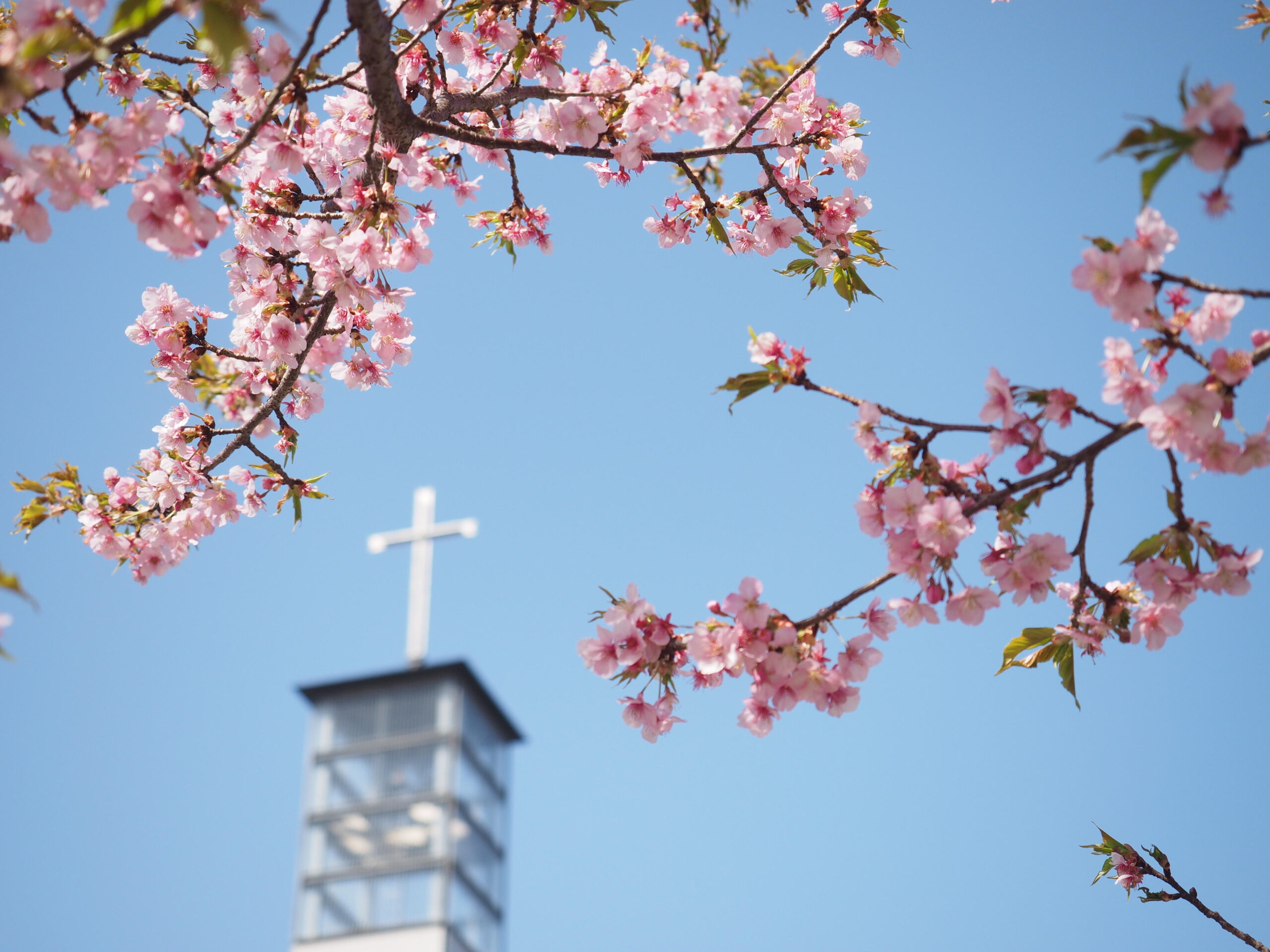 聖学院大学が2020年4月入学生へ向け、「Welcome Day」を開催。～コロナ禍で叶わなかった”入学式”に代わって～