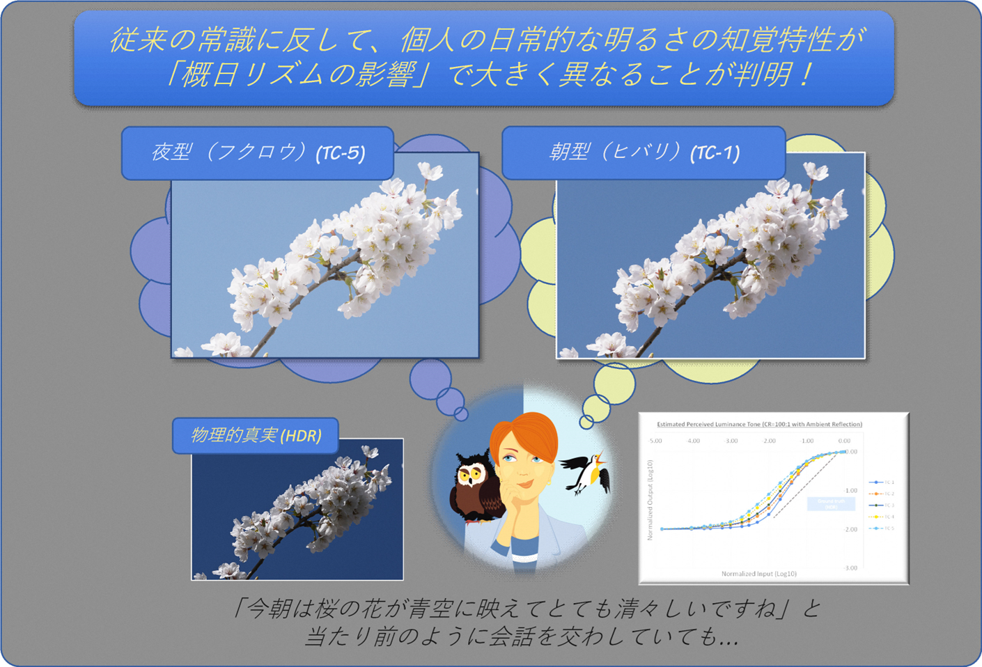 【世界初】朝の見え方が生活パターンの影響で大きく異なることを発見。国際高専　大塚教授の研究グループ