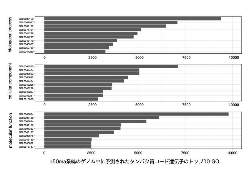 【学習院大学】カイコの新しい標準系統であるp50ma系統の高精度ゲノムアノテーション情報を公開