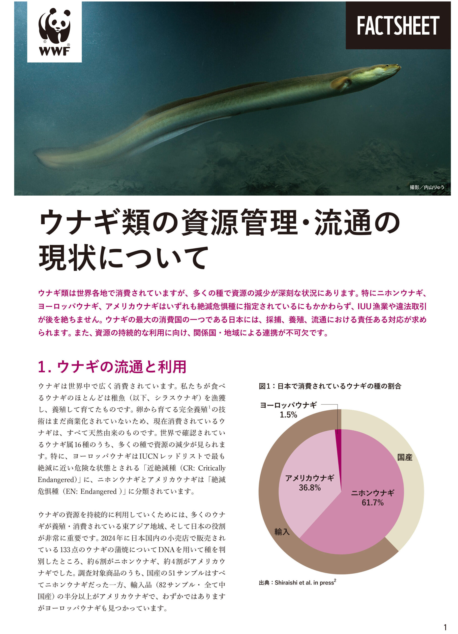 WWFジャパンと中央大学、ウナギの取引と流通の最新動向をまとめたファクトシートを共同発表　　アメリカウナギの取引が世界的に急増、国内蒲焼のウナギ種別調査でも4割を占める