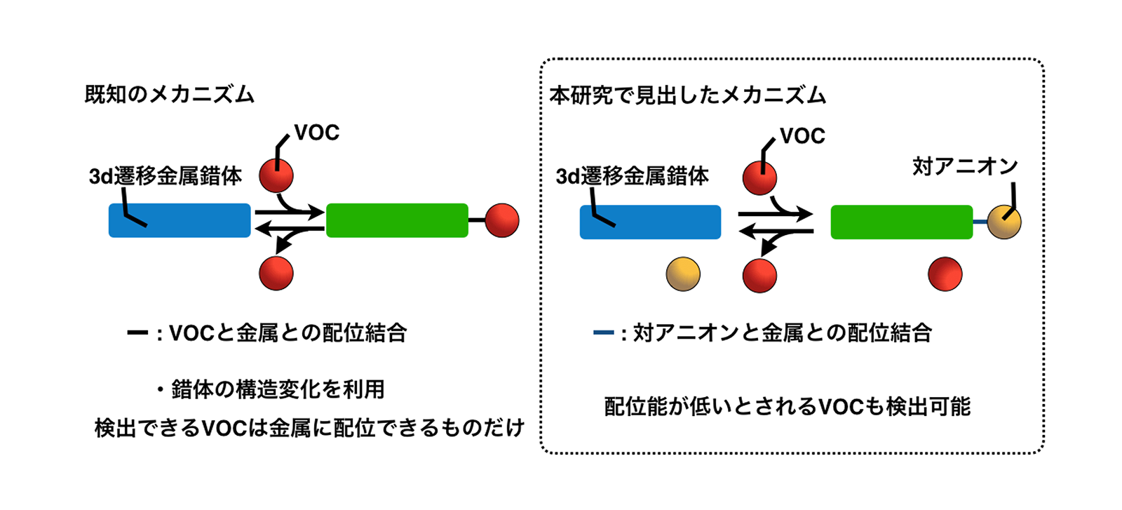 弘前大学の太田俊准教授らの研究グループが目に見えない有害物質の存在を「色の変化」で知らせる金属材料を開発