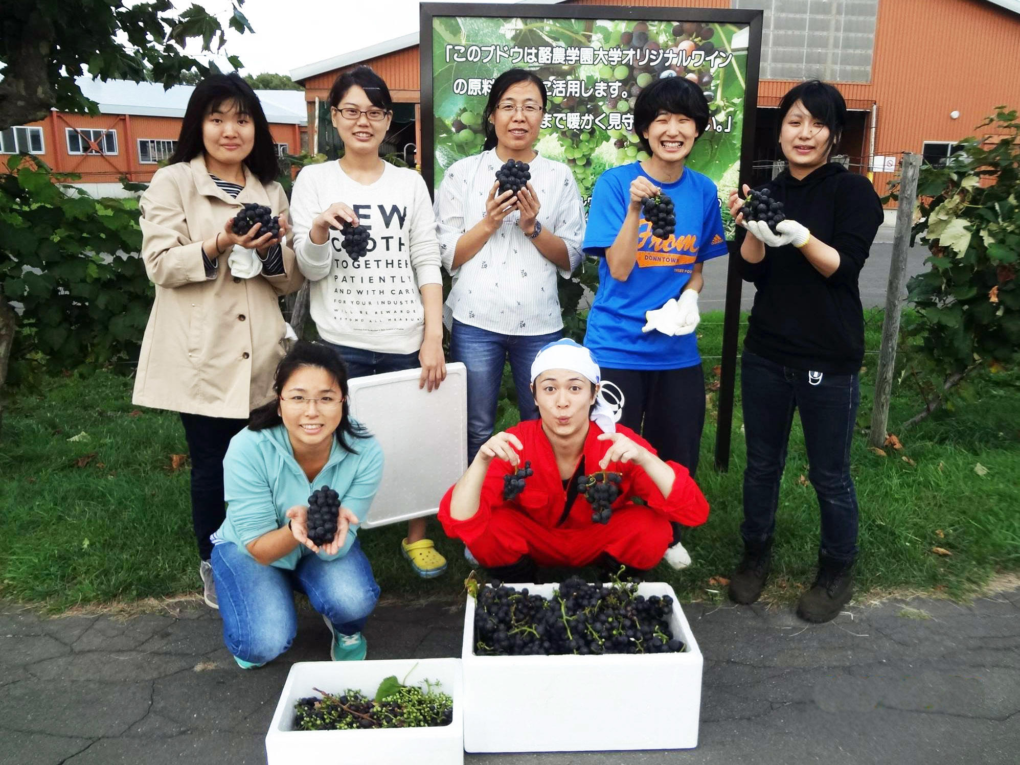 今年度の酪農学園大学オリジナルワインが完成 — 大学関係者限定で1,200本を販売