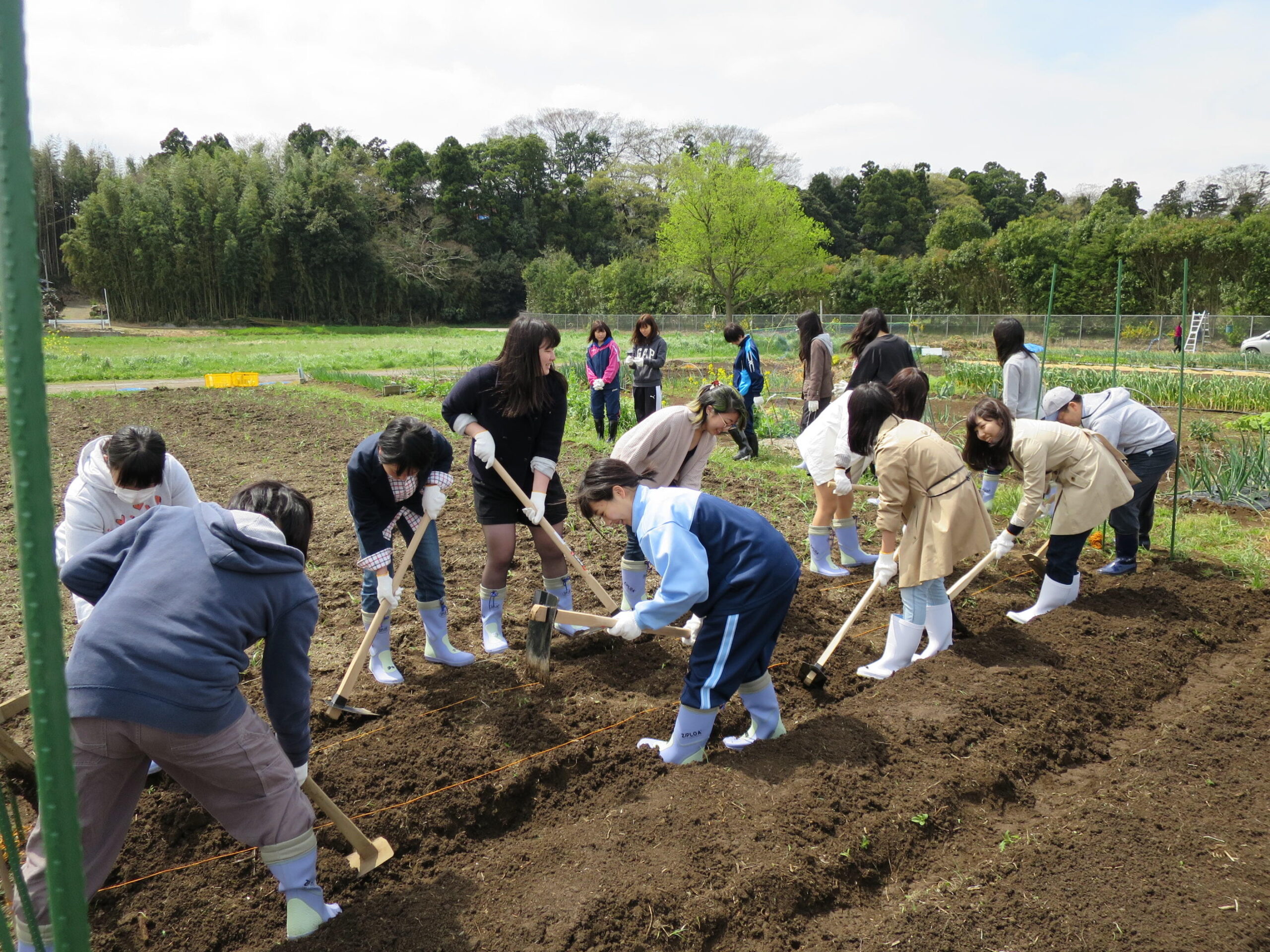 食を通じてアクティブラーニング！  — 川村学園女子大学