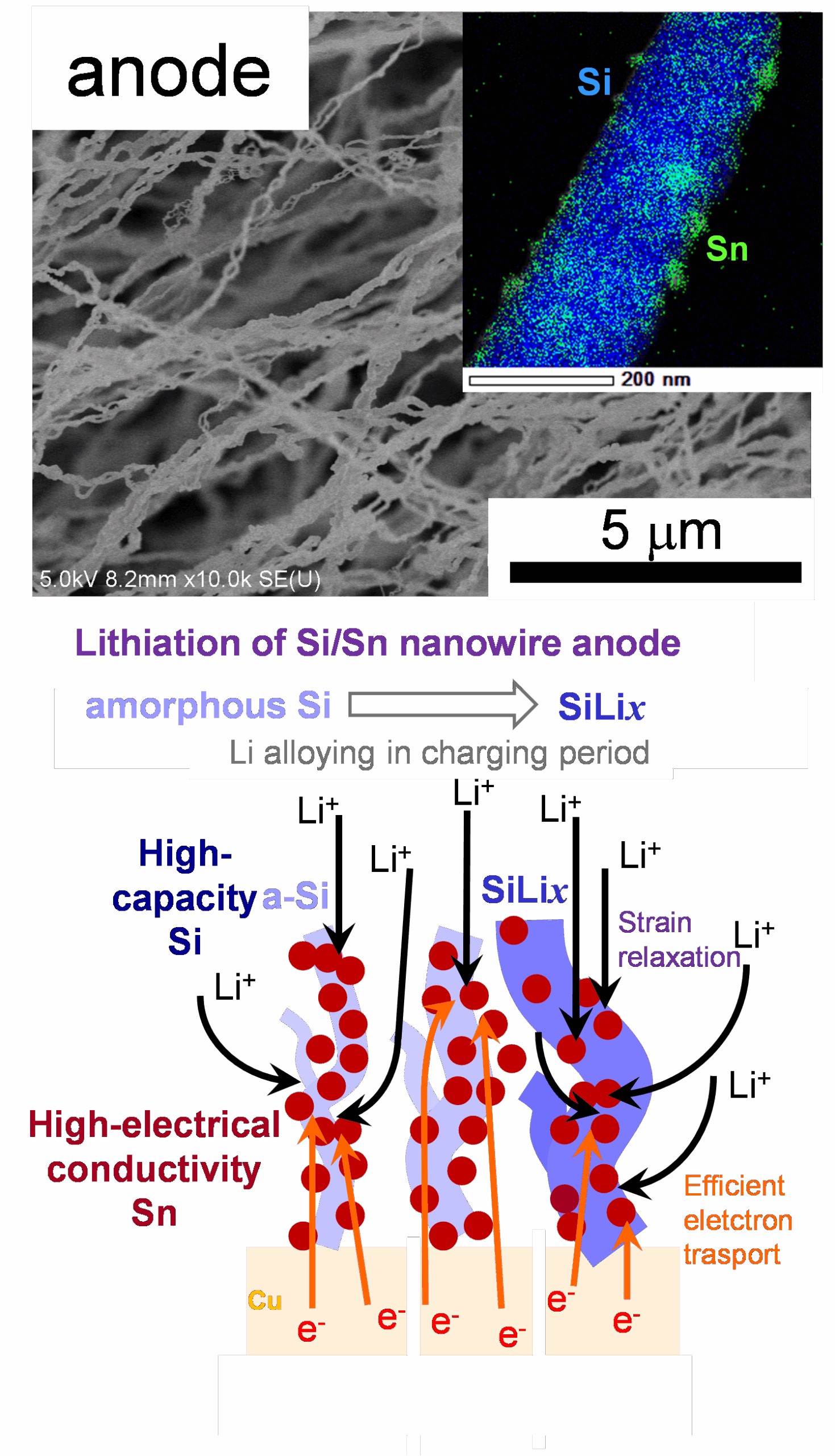 【名城大学】全固体リチウムイオン電池材料の展開に期待！低温プラズマプロセスで1次元Si/Snナノ材料負極のシングルステップ作製に成功～高容量Liイオン電池を実証～