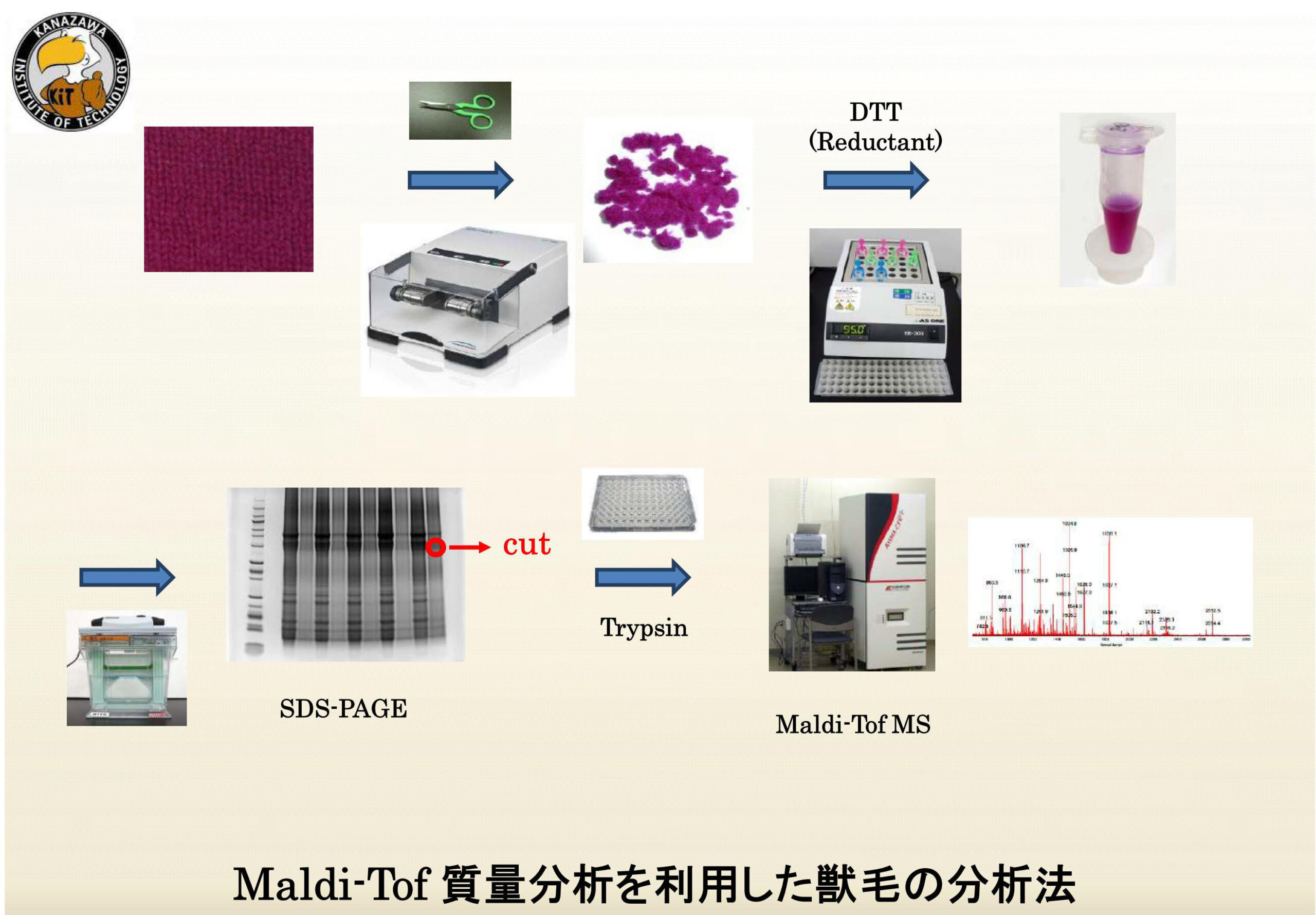 金沢工業大学ゲノム生物工学研究所が中心になって開発・提案。カシミア等獣毛類鑑別法がISO規格として発行。獣毛を構成するペプチドが動物ごとに少しずつ異なることを利用して動物種を判別。カシミアの混合率を正確に分析、消費者の安心につながる。