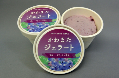 ”オール近大”川俣町復興支援プロジェクト 「かわまたジェラート ブルーベリーミックス」を新発売