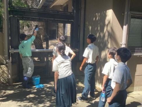 【西南学院】西南学院中学校  2024年度 中学2年生 サマーチャレンジ実施