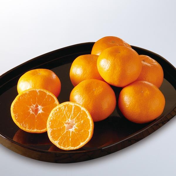 冬のギフトは近大で　お歳暮に近大関連商品が登場　実学の成果として「近大マグロ」などを販売