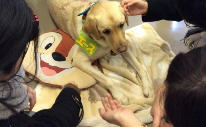 札幌学院大学が道内初の試みとして学内で定期的にドッグセラピーを実施 — 第1回は4月25日