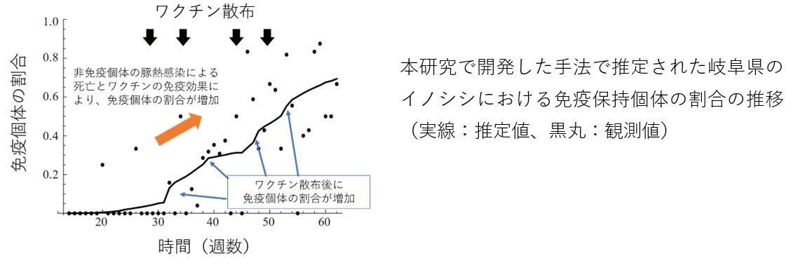 ［北海道大学、酪農学園大学、農業・食品産業技術総合研究機構］野生動物でのワクチンの効果の評価が可能に～ワクチン散布による豚熱などの野生動物での疾病の制御に期待～