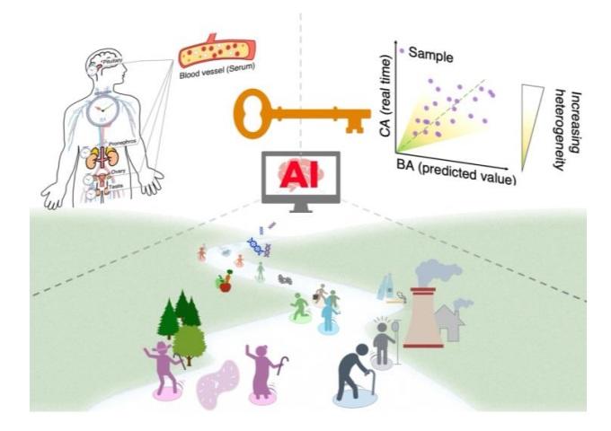 【大阪大学】数滴の血液でAIが見抜く、あなたの本当の健康年齢 ― 未来を予測する新手法 ―