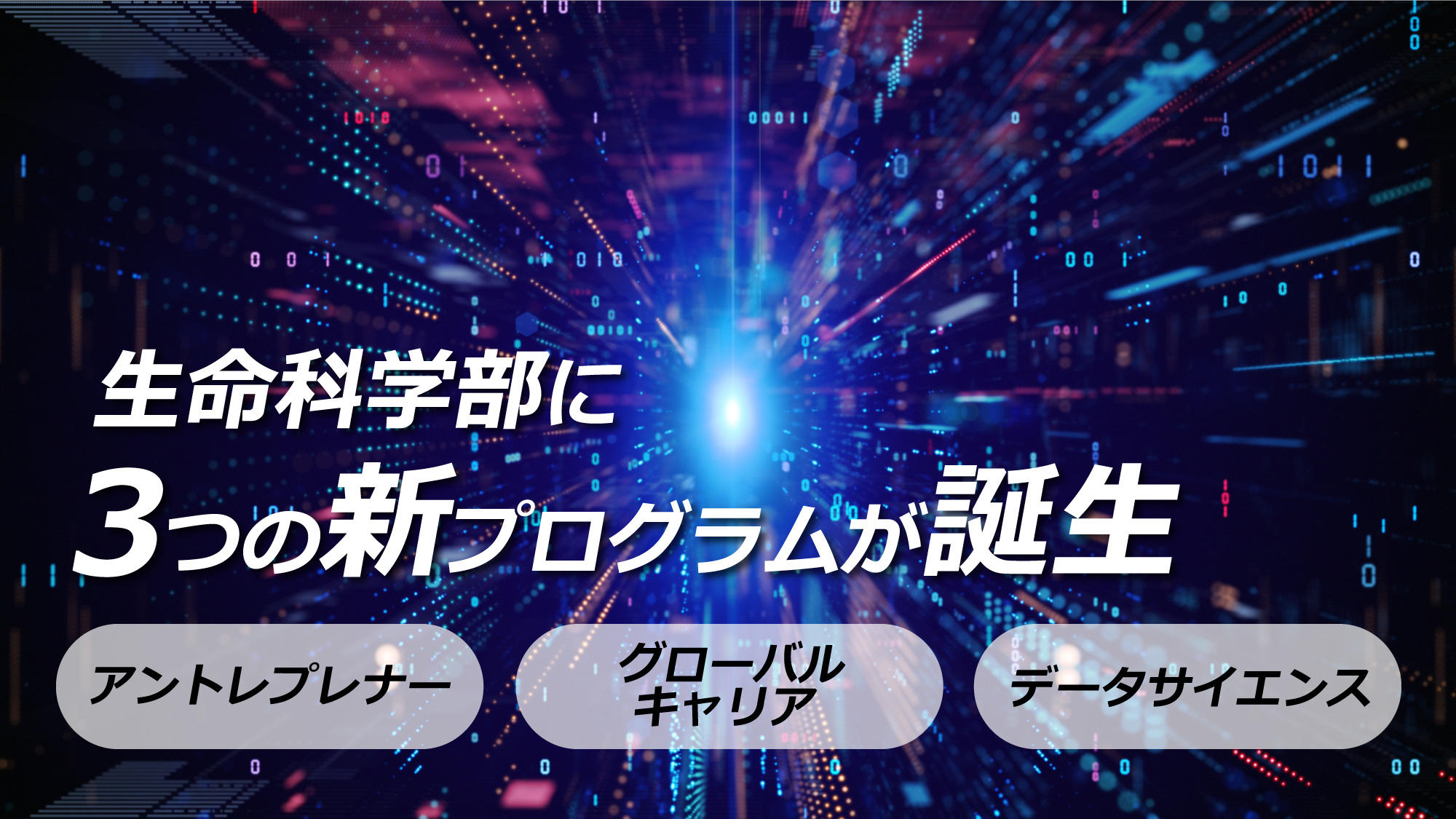東京薬科大学 生命科学部に”3つの新プログラム”が誕生。Society5.0の社会を牽引する人材に必要な次世代スキルを育成します｜アントレプレナー養成／グローバルキャリア／データサイエンス
